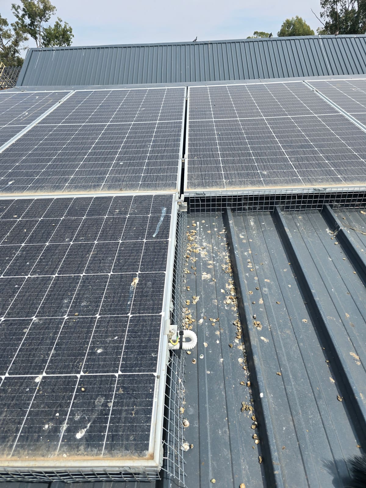 Solar panel covered in bird droppings and dust, a clear sign it needs cleaning
