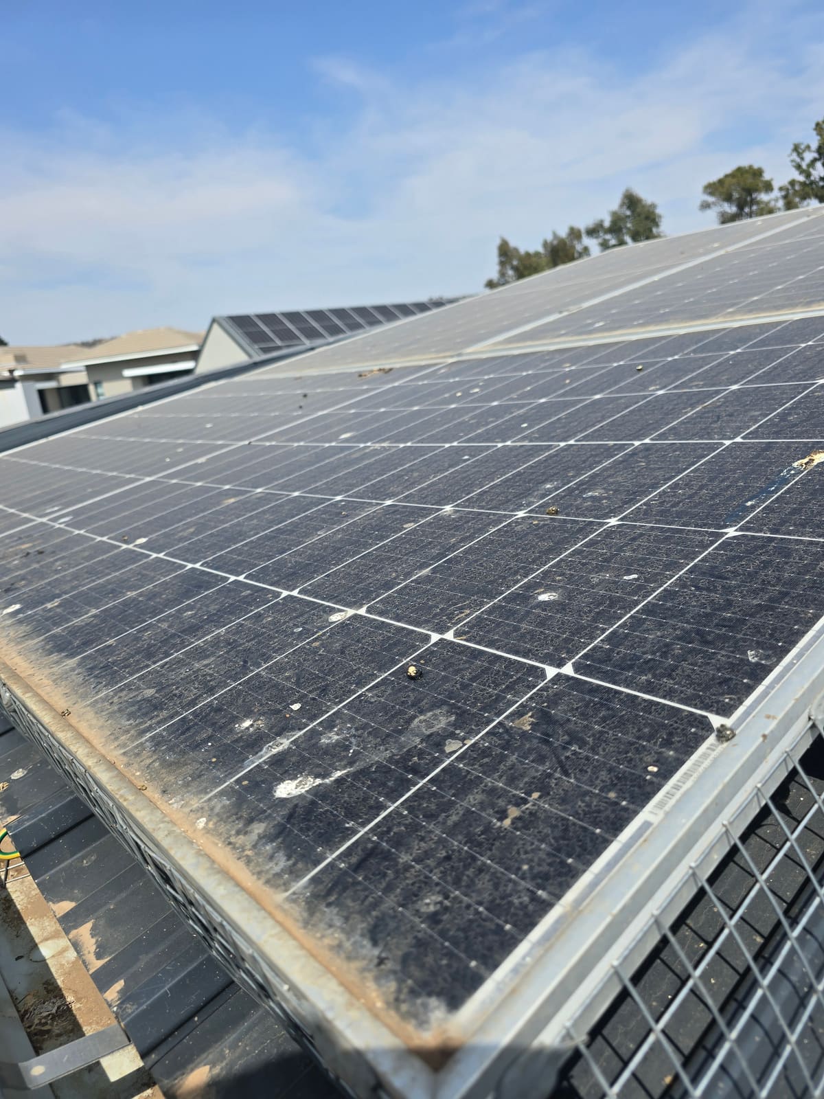 Heavily soiled solar panel before cleaning